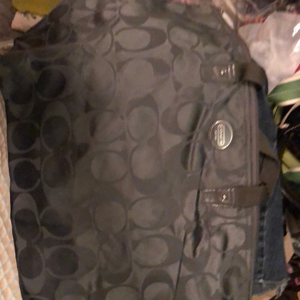 ISO Smaller Bag that snaps into this bag